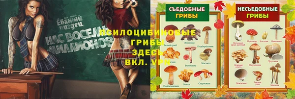 MDMA Магас
