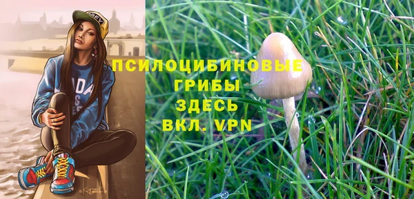 apvp Магадан