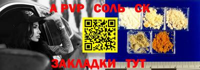 шишки Заводоуковск