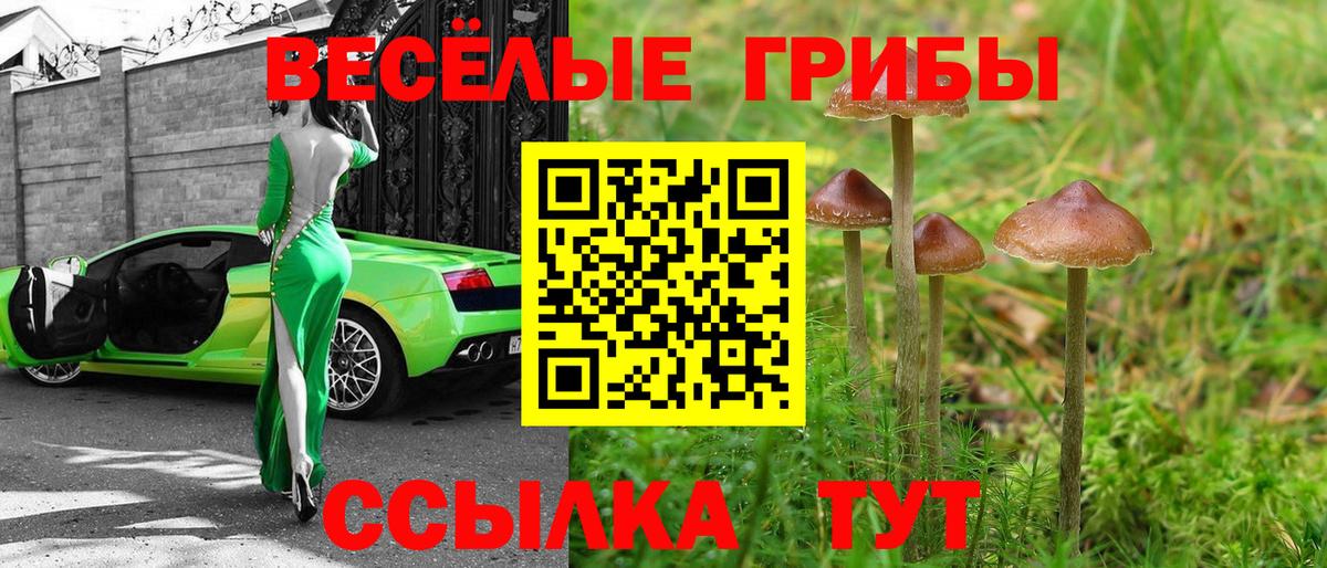 Галлюциногенные грибы мухоморы Норильск