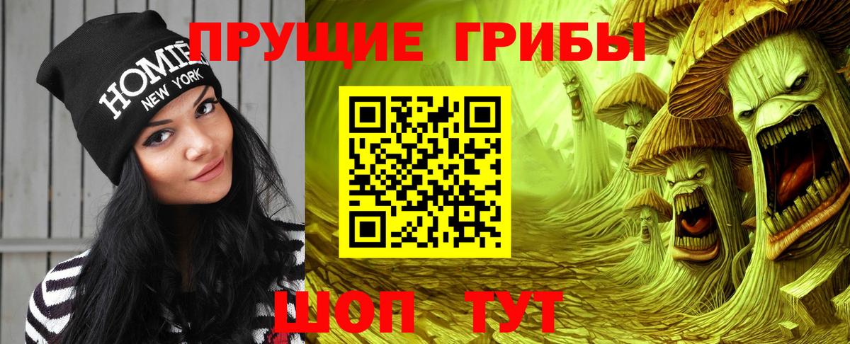 Галлюциногенные грибы Magic Shrooms  Норильск 